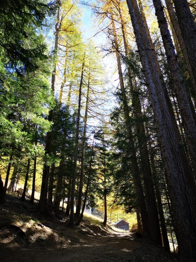 Chalet Le Trient Dış mekan fotoğraf