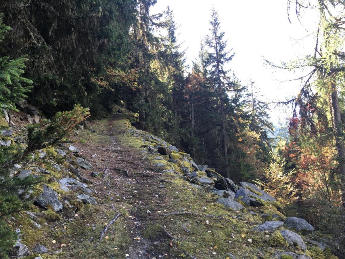 Chalet Le Trient Dış mekan fotoğraf