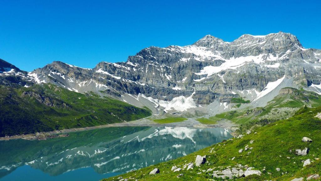 Chalet Le Trient Dış mekan fotoğraf