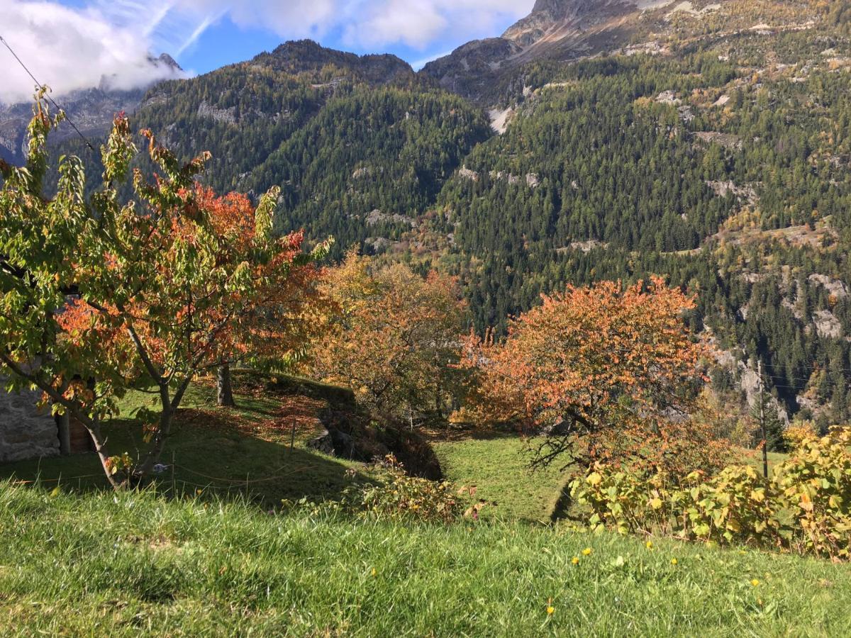 Chalet Le Trient Dış mekan fotoğraf