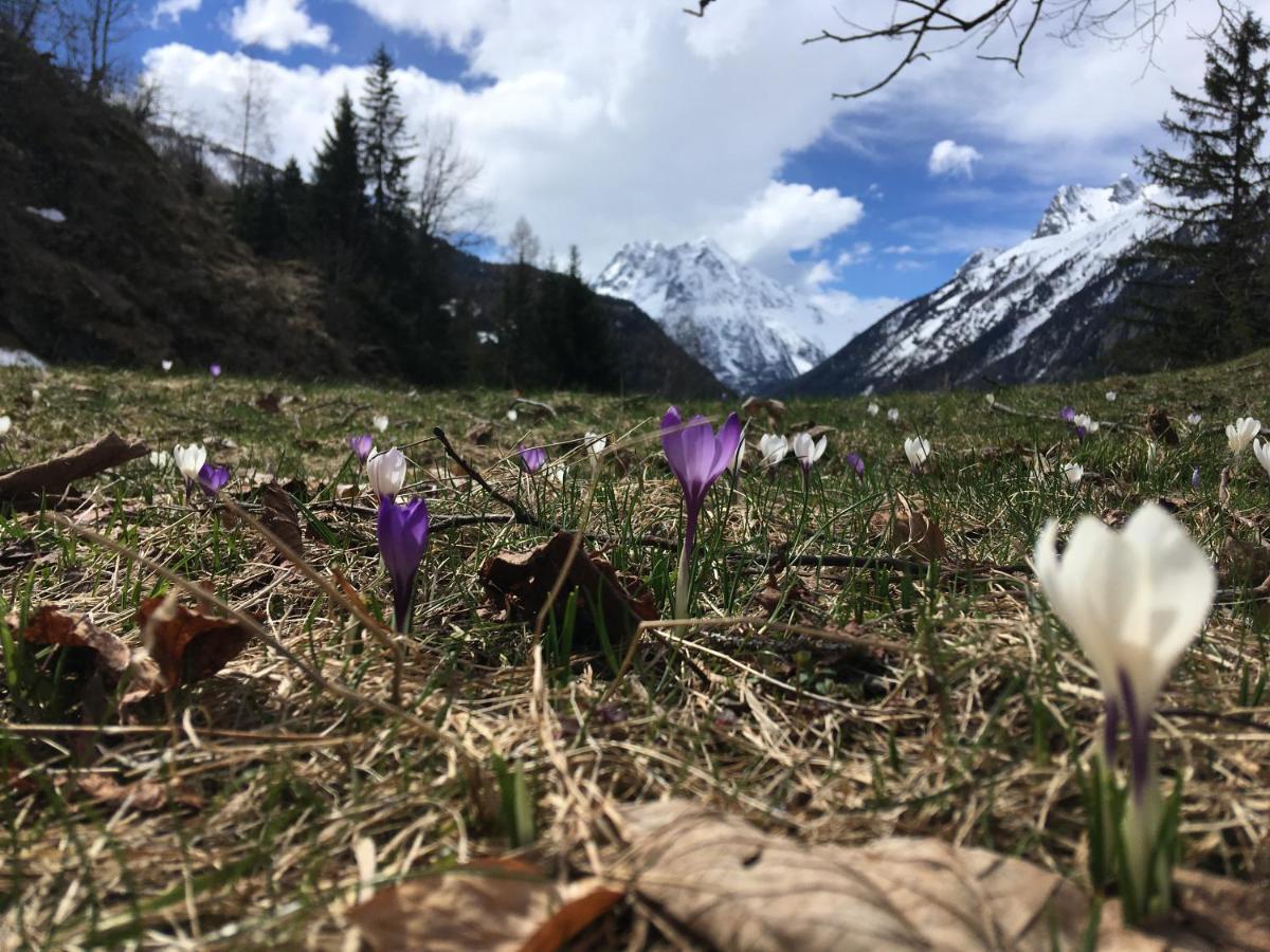 Chalet Le Trient Dış mekan fotoğraf
