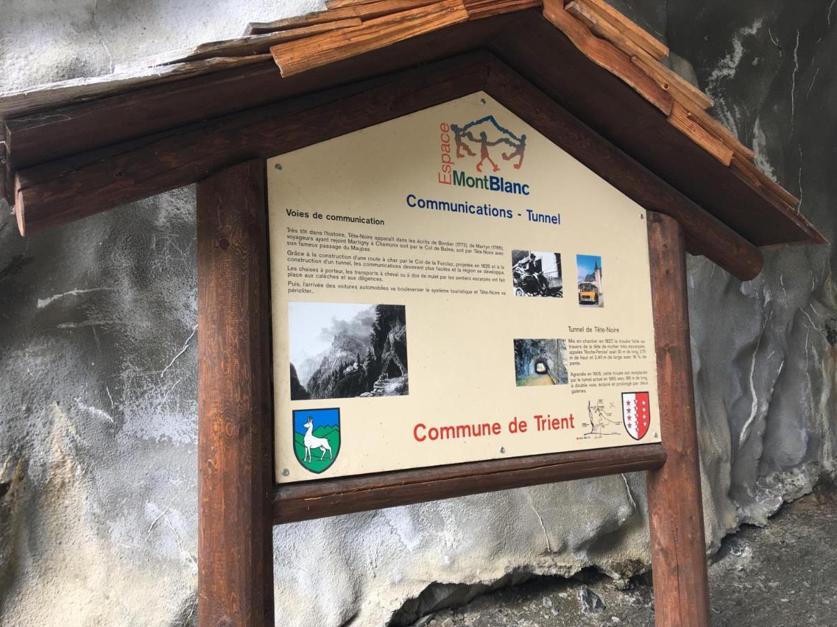 Chalet Le Trient Dış mekan fotoğraf