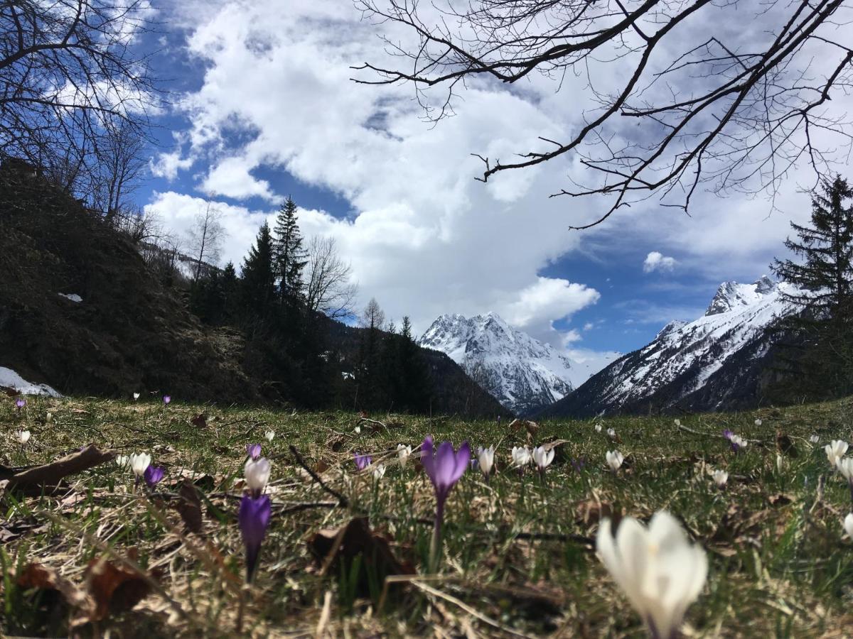 Chalet Le Trient Dış mekan fotoğraf